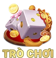 Tối ưu di động